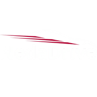 NedaDrive