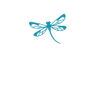 Dragonfly Media