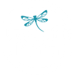 Dragonfly Media