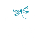 Dragonfly Media