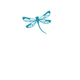Dragonfly Media