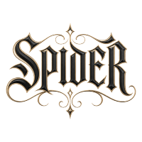 SPIDER MMA