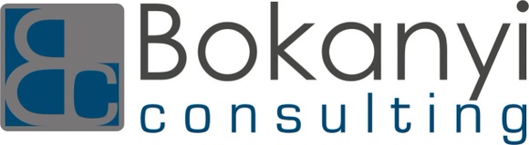 BOKANYI CONSULTING MEXICO SC