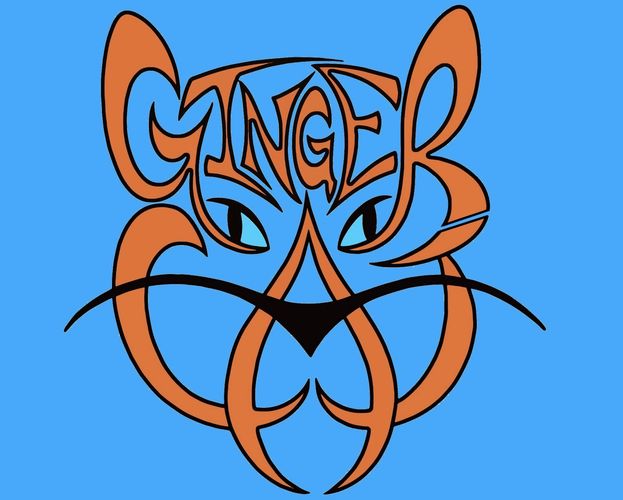 Ginger Cat Sealcoating