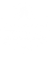 Scout Troop 169