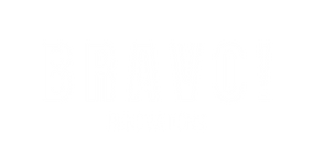 Bravo Contractors