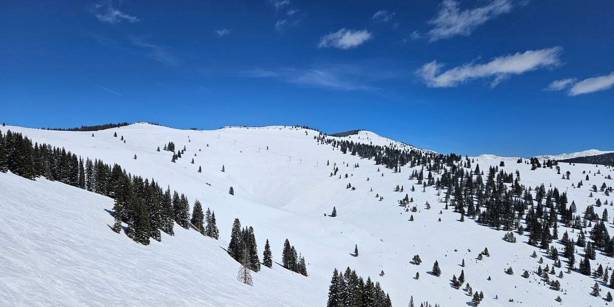 Snow-covered mountain slopes with scattered pine trees under a clear blue sky.