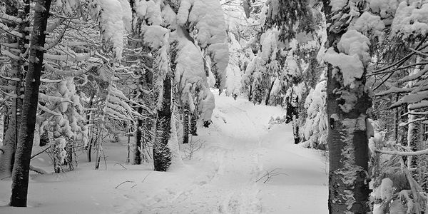 You and the heart of the mountains. 