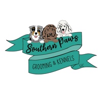 Southern Aussiedoodles