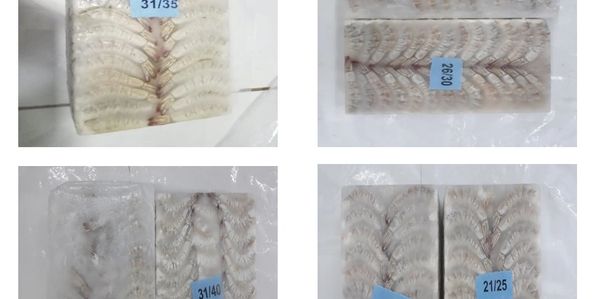 Sample product 
