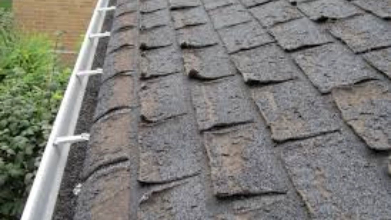 Curling shingles