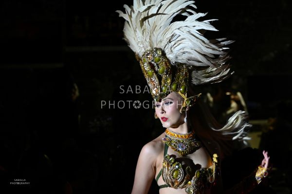Performer in elaborate feathered costume illuminated on dark stage.