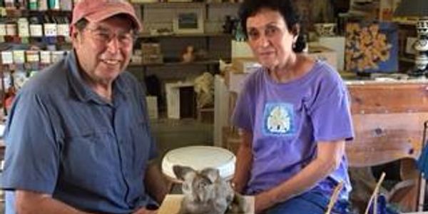 Larry and Suzie from Ohio building a cat