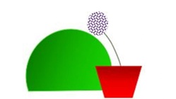 Devemy Garden Design