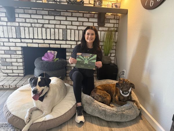 Annie and Vinny in-home obedience graduates with K9 Bond AZ