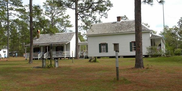 two houses surrounded by trees