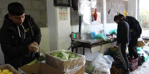 Surtimos los pedios seleccionando lo mas altos estandares