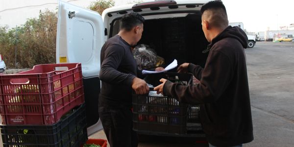 Cargando frutas y verduras para nuestros clientes