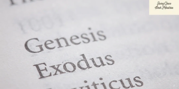 Following God's Commandments