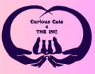 Curious Cats 4 TNR