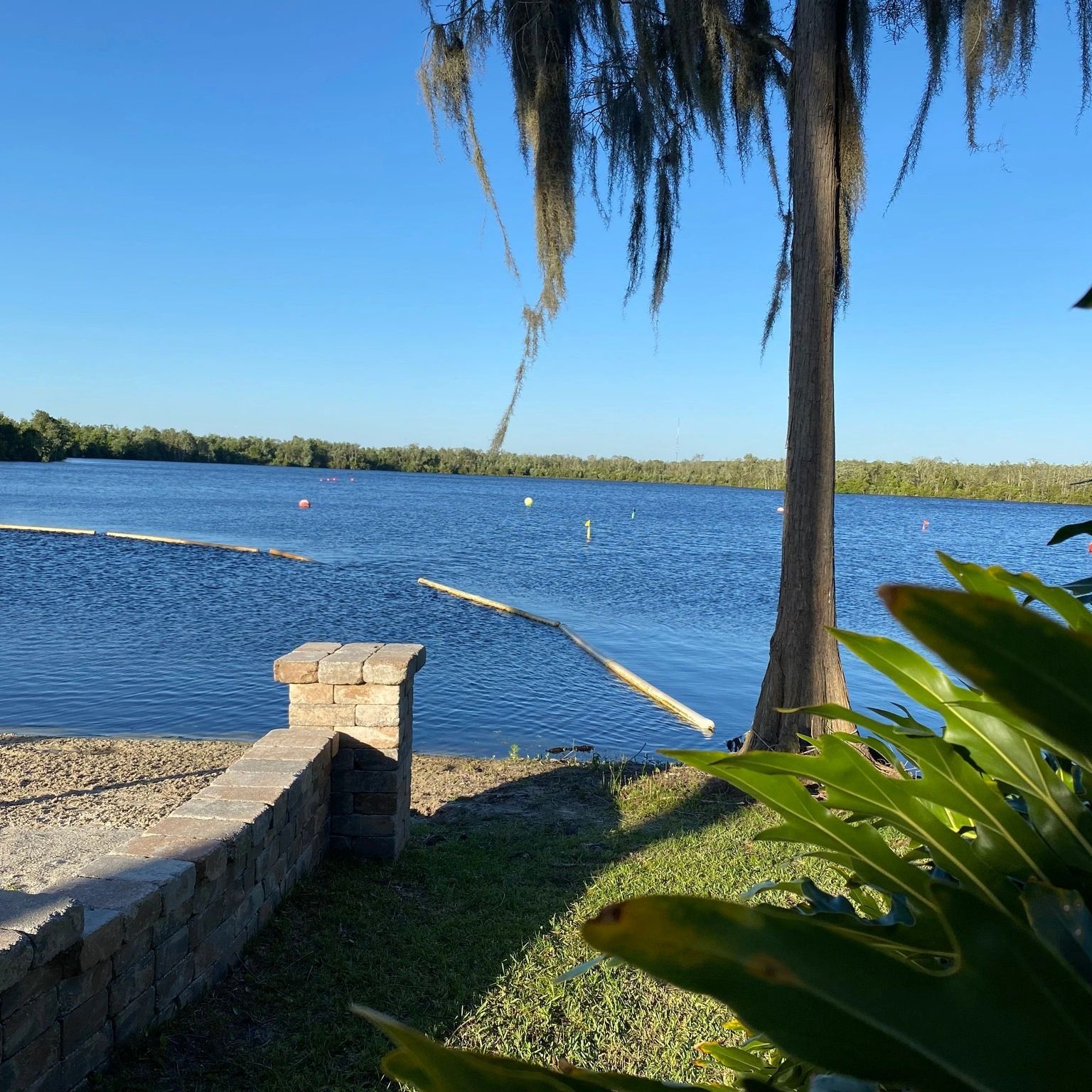 Peaceful lake scene with clear blue sky and greenery.
