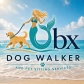 OBX DOG WALKER and Pet Sitting Services