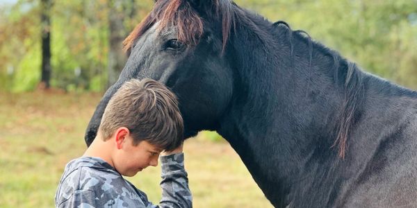 A boy hugs a horse that was rescued 