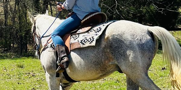 A woman rides a horse 