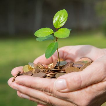 Woman's hand holding pennies with a plant growing out of the pennies. 