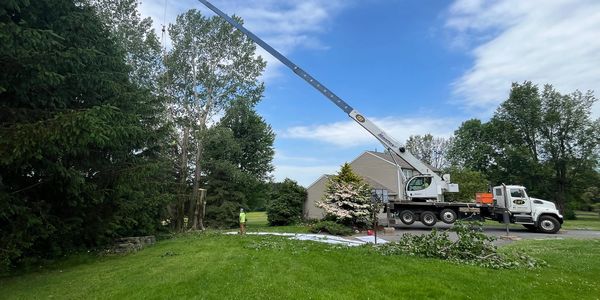Tree service crew clearing land in Central New York for solar panel installation