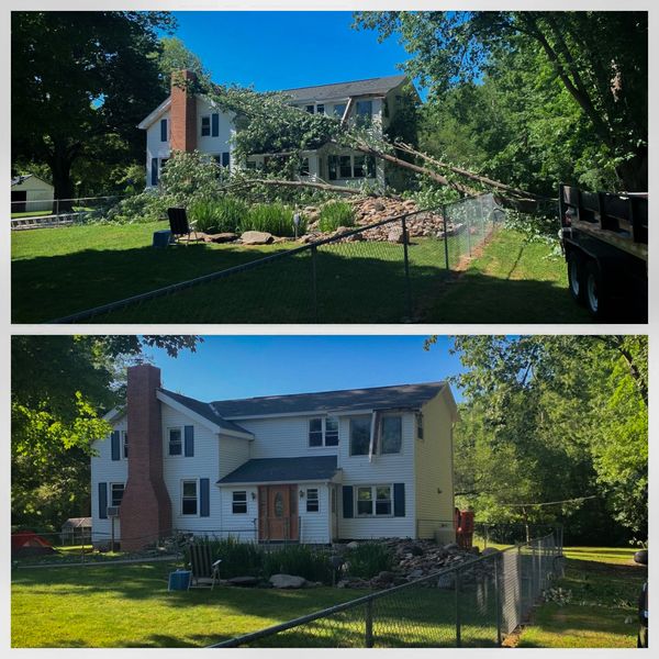 Tree service professionals using bucket truck for safe tree removal in Auburn NY