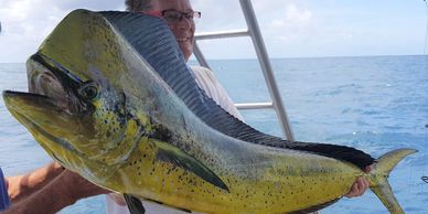 Mahi Mahi