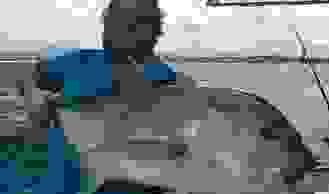 FGC - Fishing Gift certificates - Gold Coast Fishing