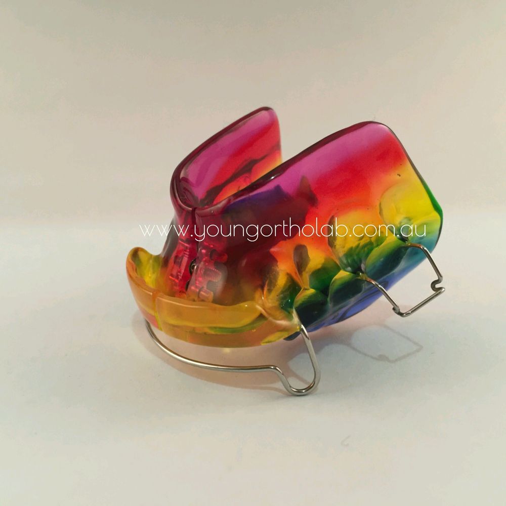 YOUNG ORTHODONTIC LABORATORY