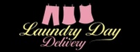 Laundry Day Delivery