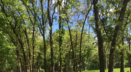Shady Lane RV Park RV park in Azle, TX (photo 2)