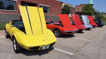 A lineup of classic cars with their hoods open in a parking lot.