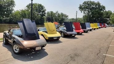 A lineup of classic cars with their hoods open at an outdoor event.