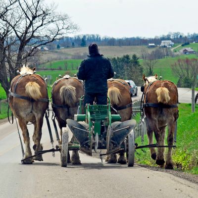 Canvas Cottages Glampsites explore Ohio’s Amish Country, scenic farms, local crafts & cultural charm