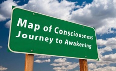 Seek & Expand Conscious Consulting