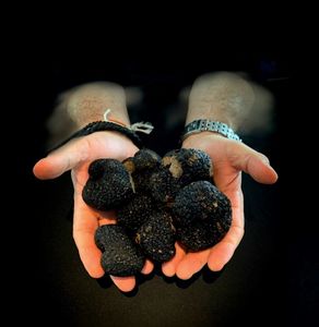 Black Truffles