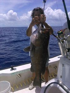 A monster Grouper brought up from the depths by the Rodzilla Deep Drop Rod.