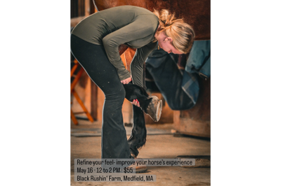 Person tending to a horse's hoof in a stable setting.