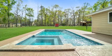 Modern backyard swimming pool with surrounding greenery.