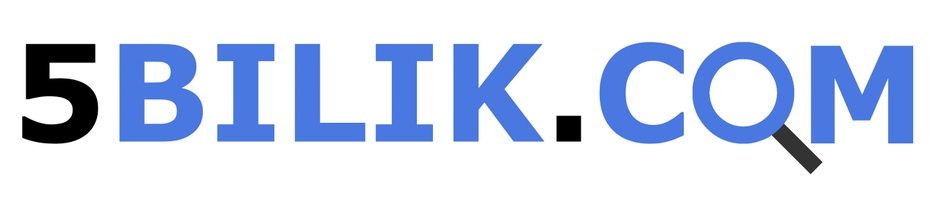 5bilik.com