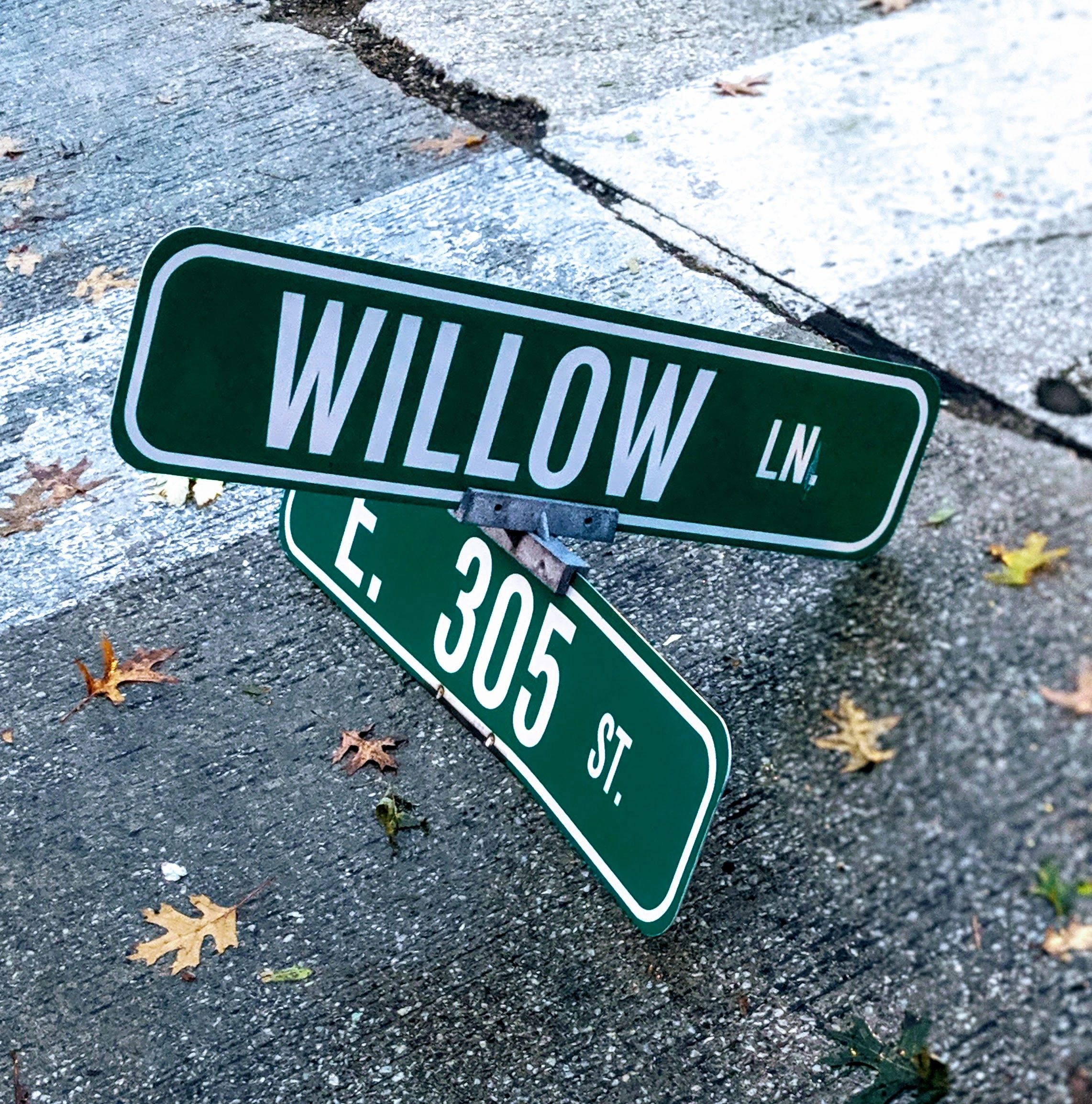 Street sign, Willow ln and E. 305