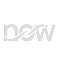 Performance Horse Now