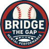 Bridge the Gap Mental Performance