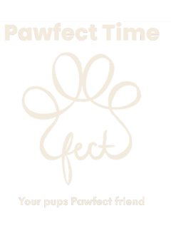 Pawfect Time