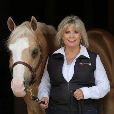 21+ American Quarter Horse Colors